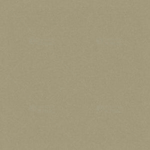 Фиброцементный сайдинг Cedral Smooth (фактура гладкая) / C58 Осенний лес (3600*190*10)