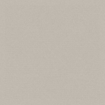 Фиброцементный сайдинг Cedral Smooth (фактура гладкая) / C08 Березовая роща (3600*190*10)