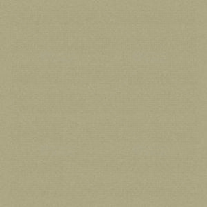 Фиброцементный сайдинг Cedral Smooth (фактура гладкая) / C57 Весенний лес (3600*190*10)