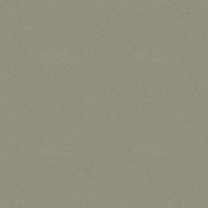 Фиброцементный сайдинг Cedral Smooth (фактура гладкая) / C59 Дождливый лес (3600*190*10)